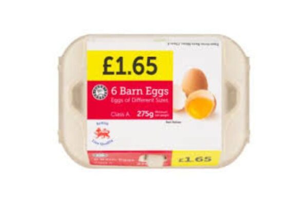 6 Barn Eggs