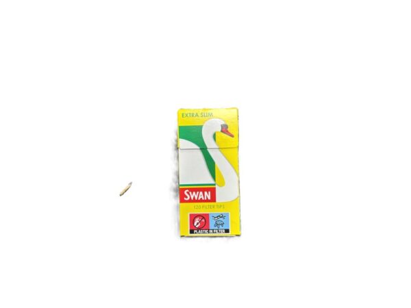 Swan