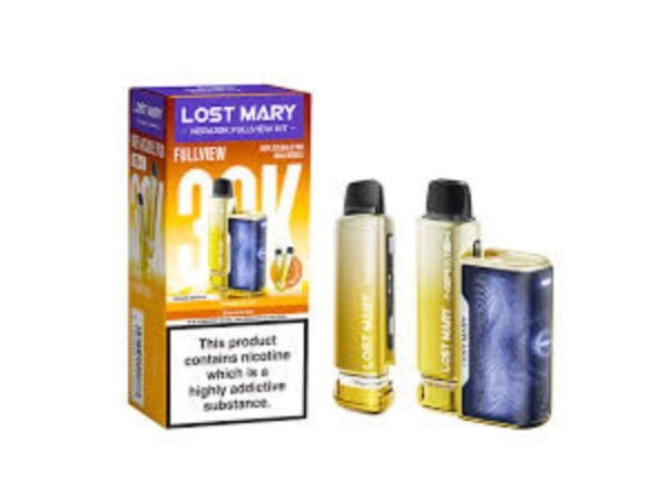 Lost Mary