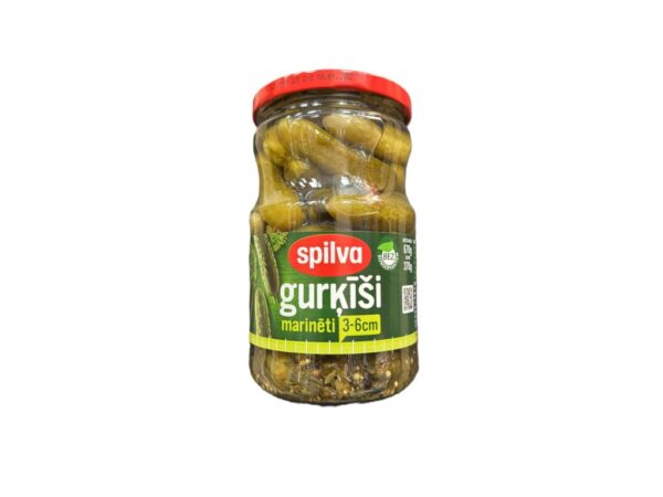 Spilva