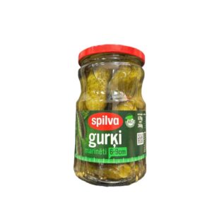 Spilva