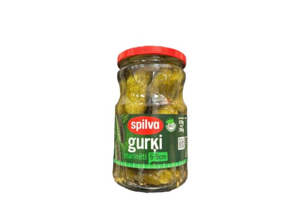 Spilva